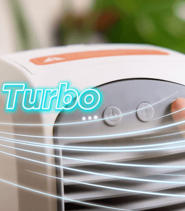 Bird Banner Background