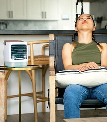 Bird Banner Background