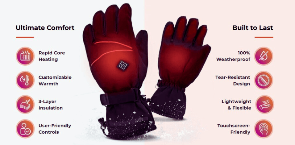 Bird Banner Background