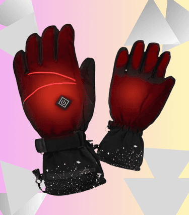 Bird Banner Background