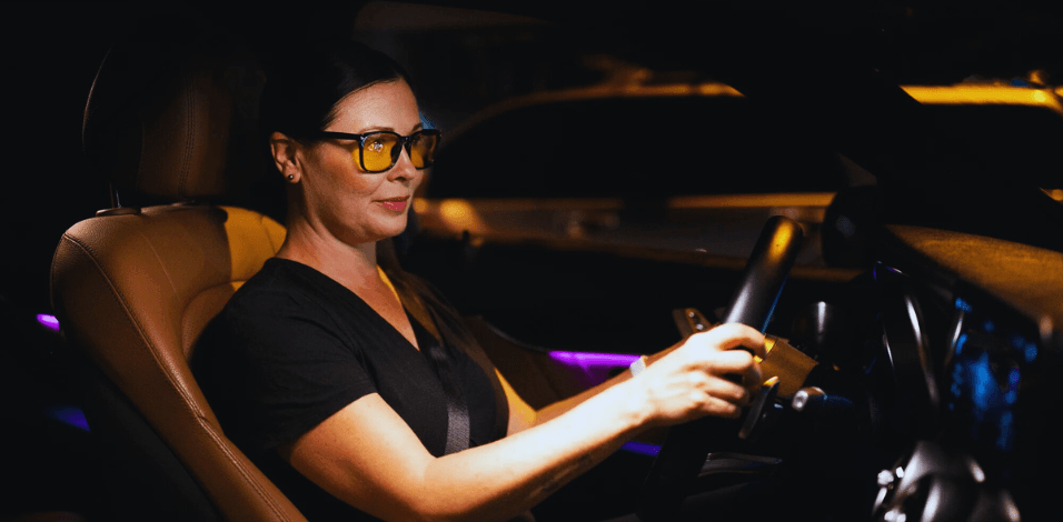 Bird Banner Background