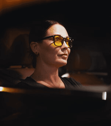 Bird Banner Background