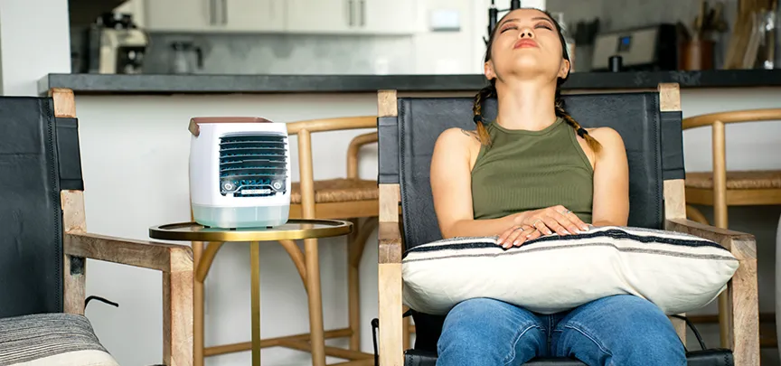 Bird Banner Background